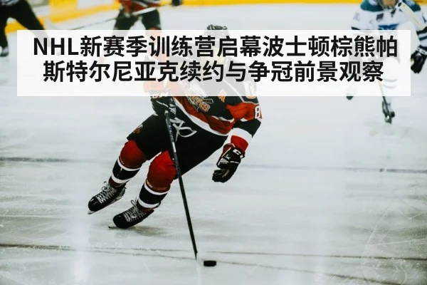 ice hockey player skating